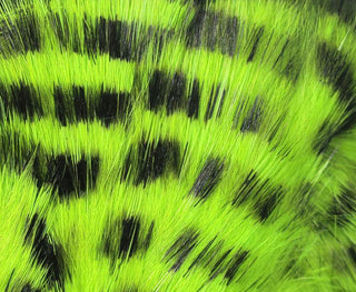 Black Barred Magnum Rabbit Strips