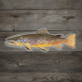 Brown Trout Sticker