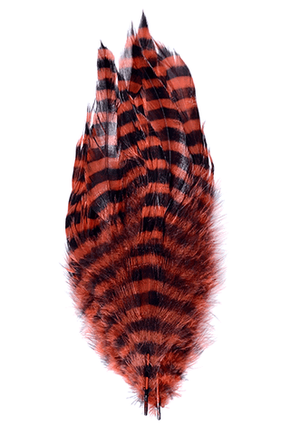 MFC BARRED SCHLAPPEN