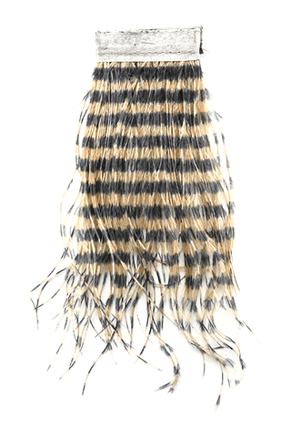 Strung Barred Ostrich