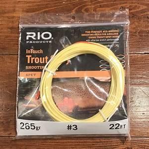 INTOUCH TROUT SPEY SHOOTING HEAD