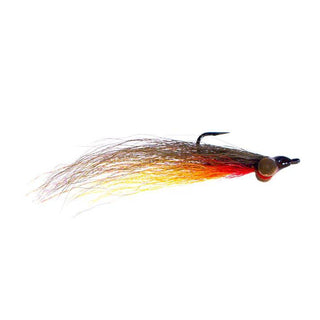 Bloom's Brown Minnow