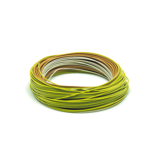 SA AMPLITUDE SMOOTH CREEK TROUT