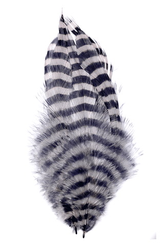 MFC BARRED SCHLAPPEN