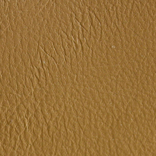 BUGSKIN
