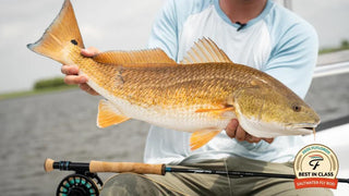 Moment Saltwater Fly Rods