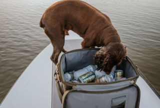 HAILSTORM SOFT COOLER