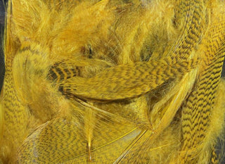 Uv2 Mallard Flank Wood Duck