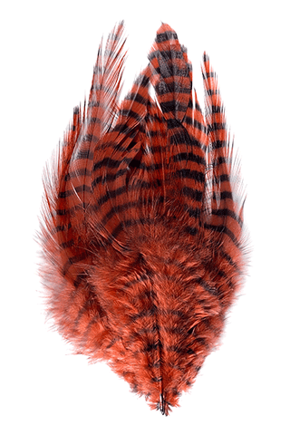 Barred Saddle Hackle