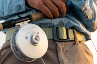 DORSAL FIN WEBBING BELT