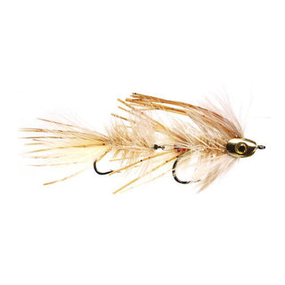 Jointed Urchin