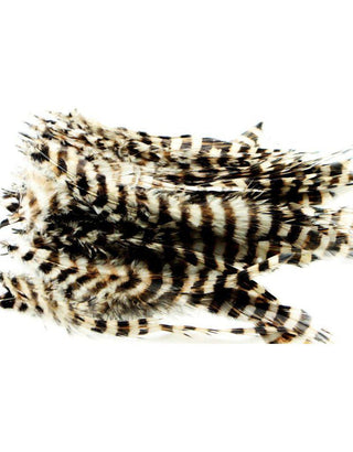 MFC BARRED SCHLAPPEN