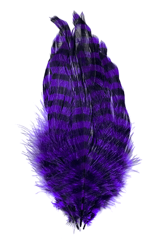 MFC BARRED SCHLAPPEN