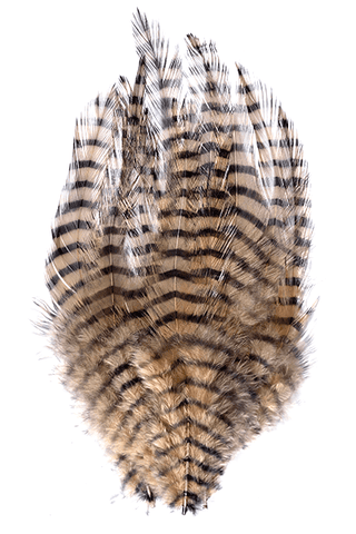 Barred Saddle Hackle