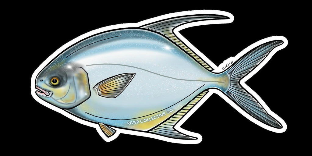 PERMIT DECAL – Winter Park Flyfisher