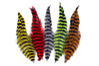 MFC BARRED SCHLAPPEN