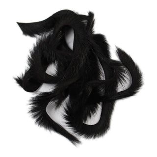 PINE SQUIRREL ZONKERS