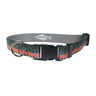 REP YOUR WATER DOG COLLAR