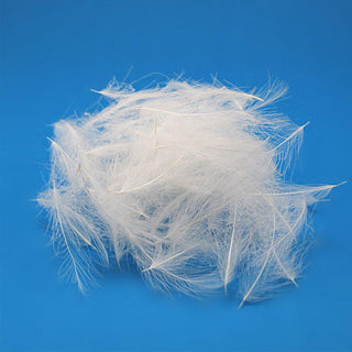 C.D.C. CUL-DE-CANARD