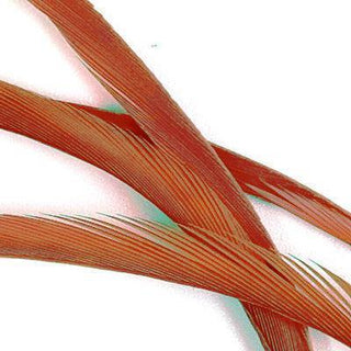 STRIPPED GOOSE BIOTS "D"