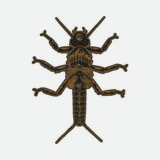 GOLDEN STONEFLY STICKER