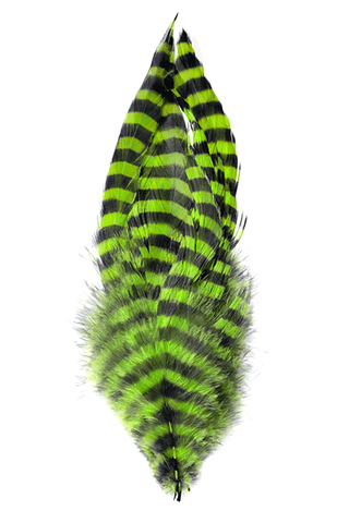 MFC BARRED SCHLAPPEN