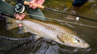 Dispatch Fly Fishing Kit