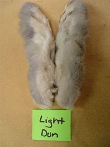 SNOWSHOE RABBIT FEET