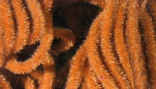 VELVET CHENILLE SMALL