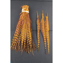 RINGNECK PHEASANT TAIL FEATHERS