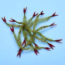 EP® CRUSTACEOUS CLAW