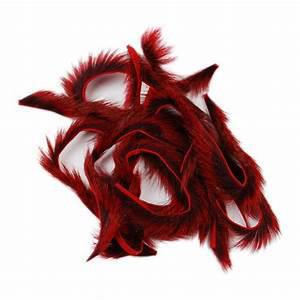 PINE SQUIRREL ZONKERS