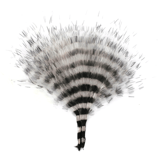 BARRED MARABOU BLOOD QUILL