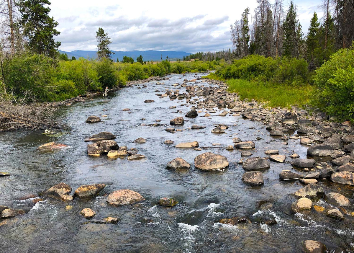 River Info - Colorado Shadow Mountain – Winter Park Flyfisher