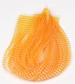 Chicone's Regular Crusher Legs