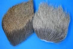 ELK BODY HAIR
