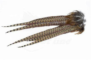RINGNECK PHEASANT TAIL FEATHERS