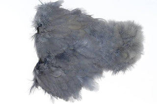 EWING MARABOU