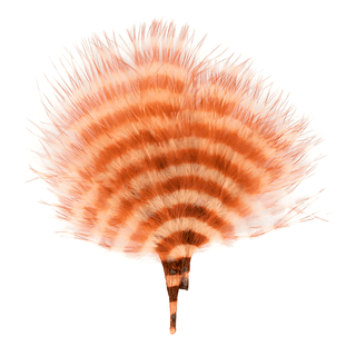 BARRED MARABOU BLOOD QUILL