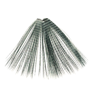 MFC MICRO-BARRED FIBBETTS