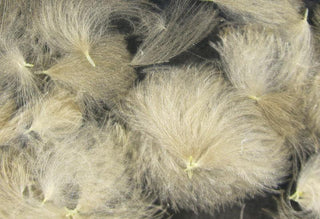 Cdc Oiler Puffs White