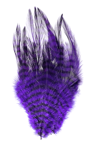 Barred Saddle Hackle