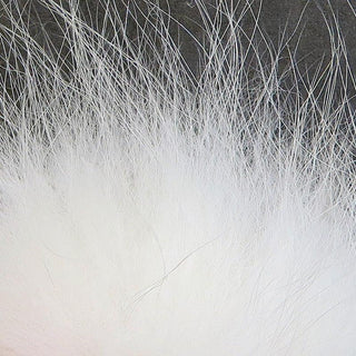 Arctic Fox Tail Hair