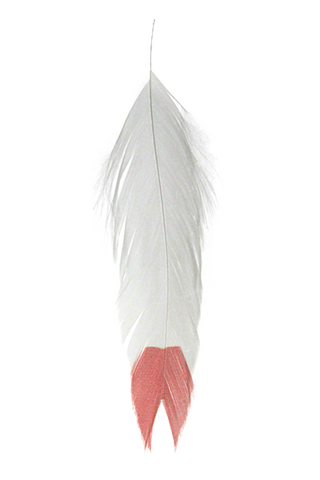 Galloup's Fish Feathers