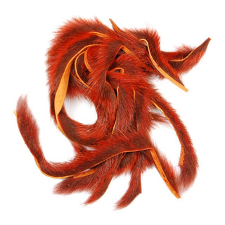 PINE SQUIRREL ZONKERS