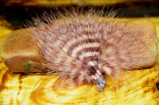 BARRED MARABOU BLOOD QUILL