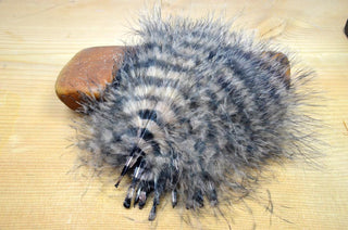 BARRED MARABOU BLOOD QUILL