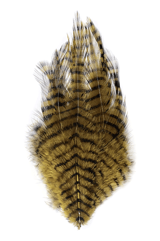 Barred Saddle Hackle