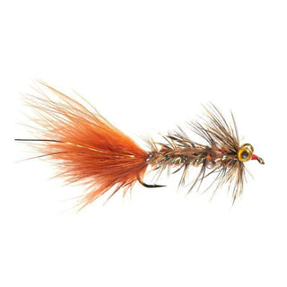 Bloom's MRS Bugger