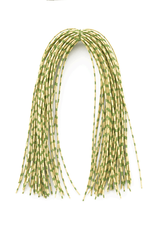 CENTIPEDE LEGS SPECKLED